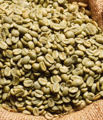 Ethiopian Coffee